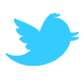 twitter-bird-solo